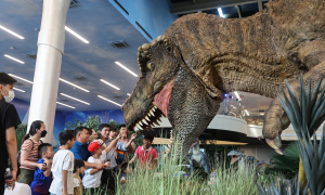 Fossils and fun at HCMC dinosaur cafe