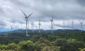 Company fined $25,000 for building wind farms on protection forest land
