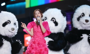 Vietnamese singer's year-end performance stirs up Chinese fans