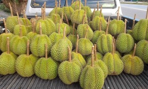 Thailand's off-season durian price surges in Vietnam
