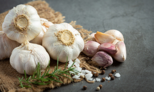 Should I eat raw garlic to enhance immune system during cold season?